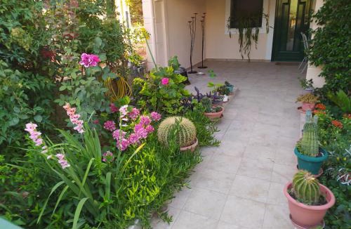 Alexandroupoli Apartment | Cactus Oasis