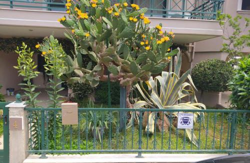 Alexandroupoli Apartment | Cactus Oasis