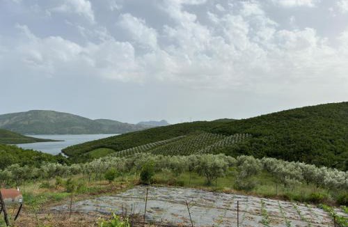 Sakës House | Camping Lisna
