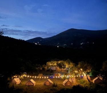 Lukove Other | Camping Parknight Tents