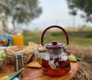Grile Other | Camping villa lake shkodra
