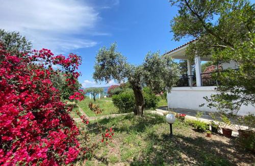 Aristotelis House | Casa Santa Agua