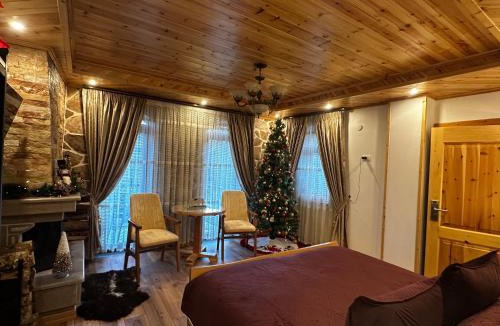 Moscopole Hotel | Castle Rozafa Scutari