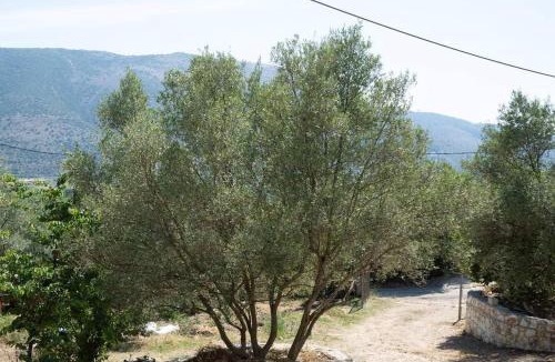 Igoumenitsa Apartment | Catherine's House