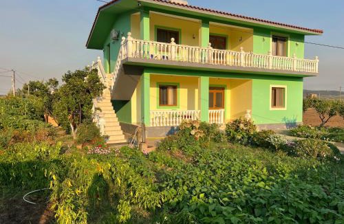 Divjake Apartment | Cela House