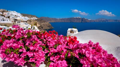 Oia Hotel | Chelidonia Traditional Villas