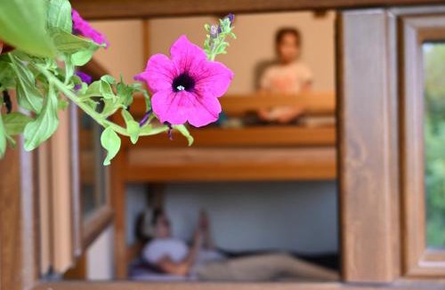 Prevalla Other | Cottage Kitka