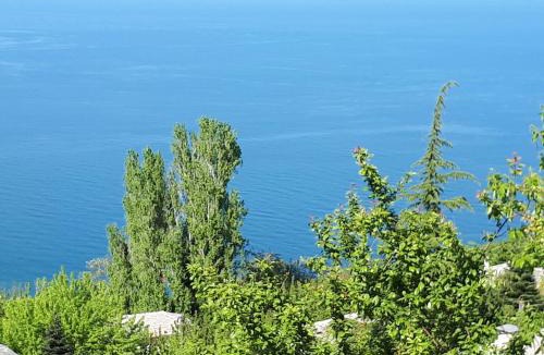 Mouresi Apartment | Country house in Mouresi