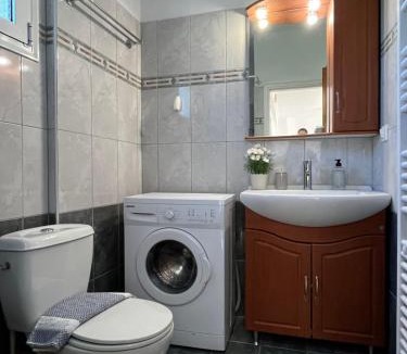 Kalligoni Apartment | Cozy Apartments in city's suburbs #1st floor