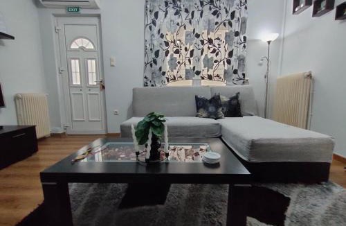Kastoria Apartment | Crestio apartment Καστοριά