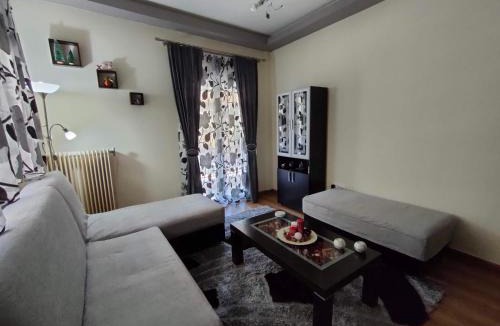 Kastoria Apartment | Crestio apartment Καστοριά