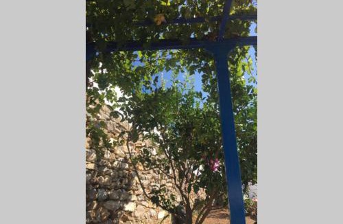Tholaria House | Cycladic houses in rural surrounding 3