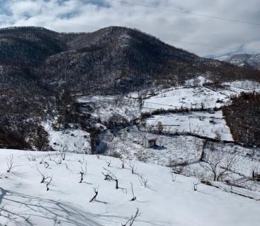 Korce Villa | Dikellari Guest House