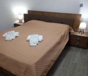 Andros Town Apartment | Dipotamata House SynetI
