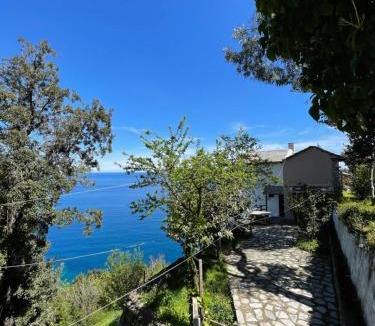 Zagora-Mouresi House | Double studio room by the sea