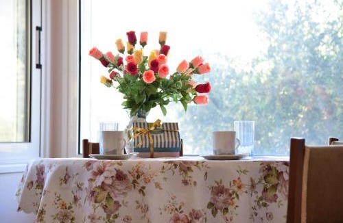 Argostoli Apartment | Effie's Escape Spacious country house