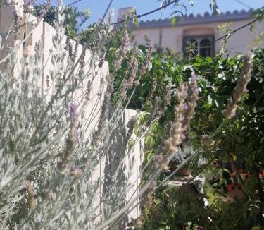 Archanes Apartment | "Eirini" traditional house Creta Archanes, Αρχάνες σπίτι