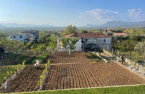 Sakës Resort | Ejlli Villa