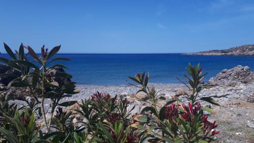 Livadia Hotel | Elafonisos Rooms