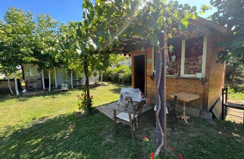 Elbasan Hostel | Elbasan Backpacker Hostel