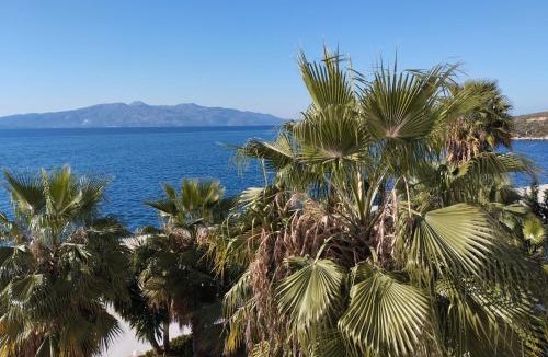 Kodrra Apartment | Elcon Seaside Apartment