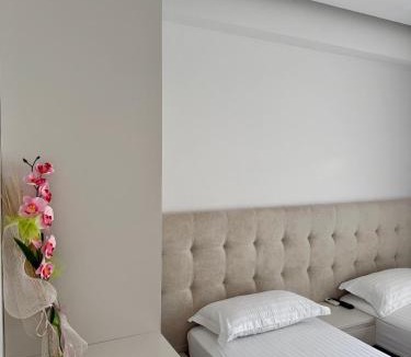Qender House | Elena Hotel