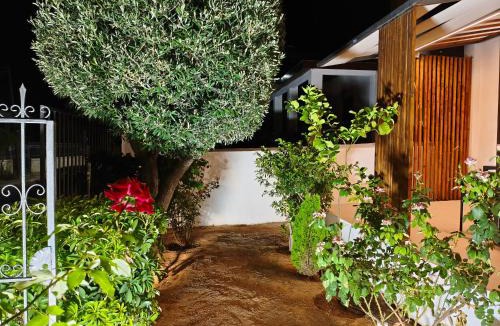 Selinia House | Elvira Boutique Suites - Elegant Studios near the Sea