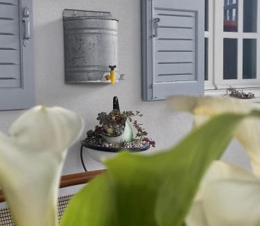 Ano Siros Apartment | Emilia's Guest House