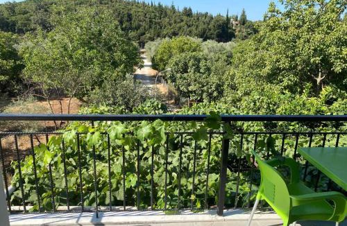 Jala Apartment | Eva & Resul apartments