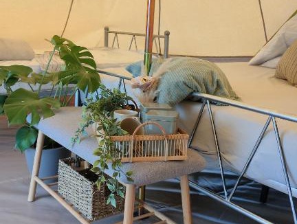 Pyrgos Other | Famous Sporting Event Sunset Glamp
