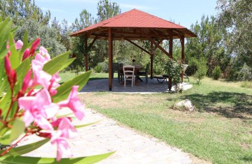 Thasos Apartment | FANTASY GRAND VILLA THASSOS