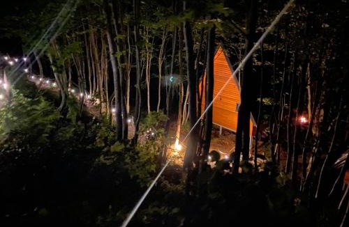 Shale Villa | Forest Escape