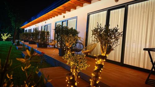 Velipoje Hotel | Frenki'S Appartments