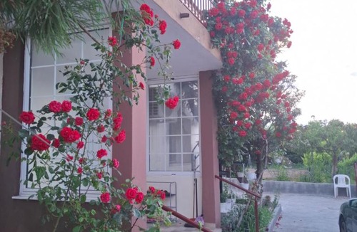 Pangaio House | Garden House - 80 m2- Rustic Apartment
