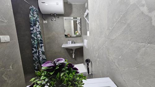 Tirana Villa | Garden Lemon Tree Villa