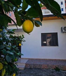 Tirana Villa | Garden Lemon Tree Villa