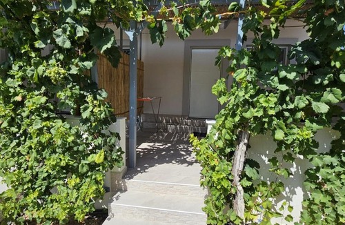 Salamis Apartment | Garden Room by the Vineyard Salamis