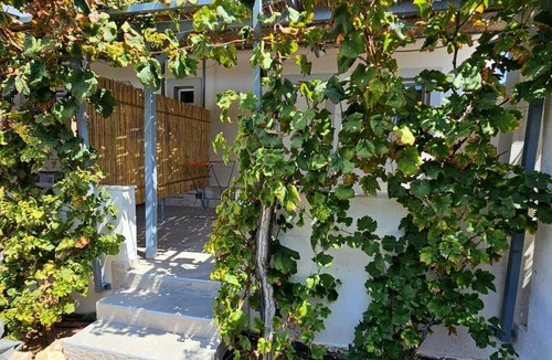 Salamis Apartment | Garden Room by the Vineyard Salamis