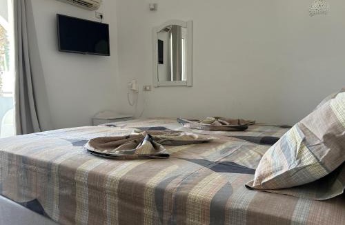 Karpathos Town Apartment | Garden Villa