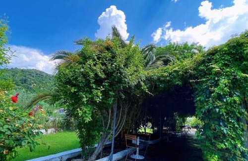 Lukove Hotel | Garden Villa Naza