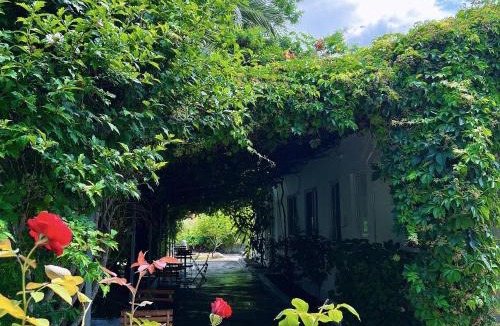 Lukove Hotel | Garden Villa Naza