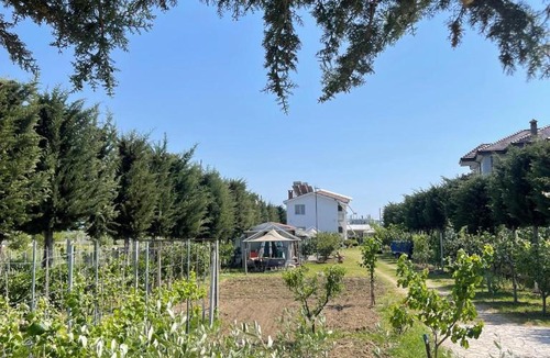 Sakës House | Garden Villa Sunny