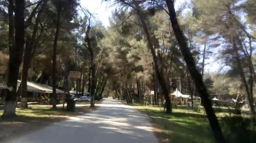 Ardenice Apartment | George Apartments Diviaka beach and national park