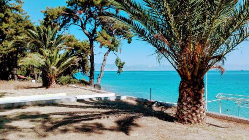 Thasos Town Apartment | Glikadi Hotel