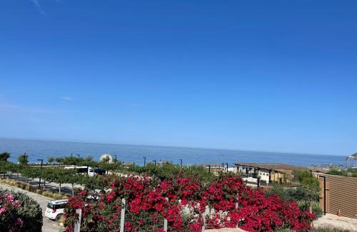 Jala House | Green Coast 136