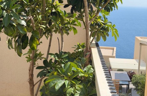 Jala House | Green Coast Escape
