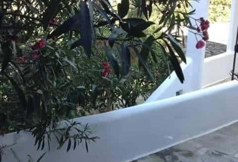 Smardakito House | Greenhouse at Tinos