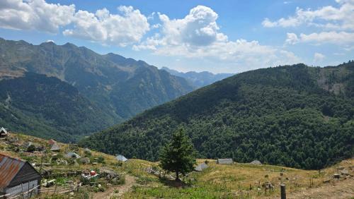 Donji Crnobreg Other | Guest House Balcina