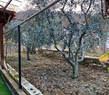 Sinje Apartment | Guest House Guri