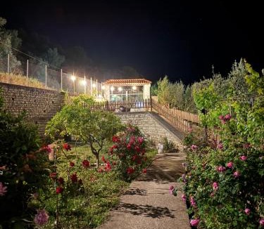 Berat House | Guest House Mario
